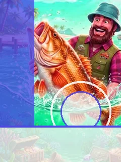 Miami Mayhem Cash